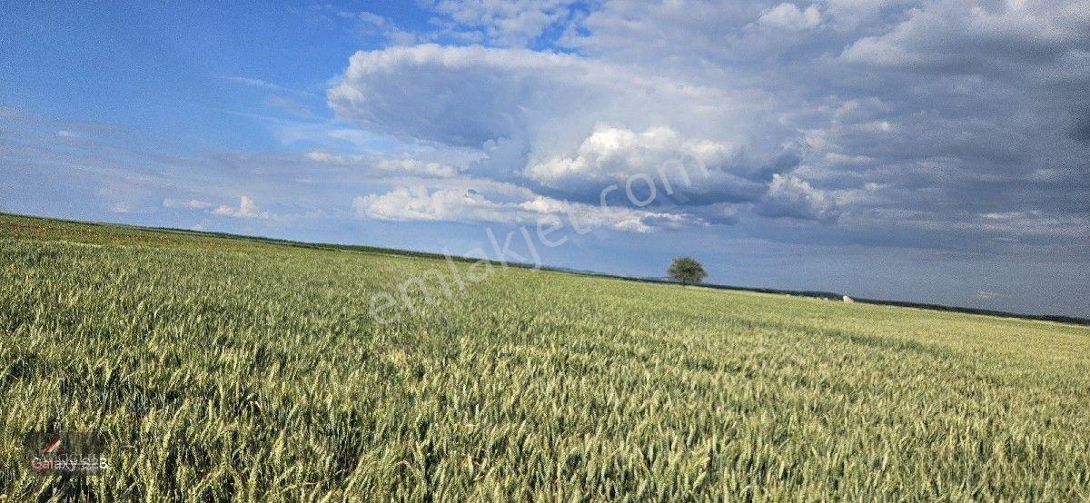 Tatarlar 8.860 M2 Müstakil Tapulu — fotoğraf 30