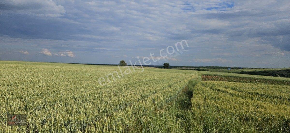 Tatarlar 8.860 M2 Müstakil Tapulu — fotoğraf 31