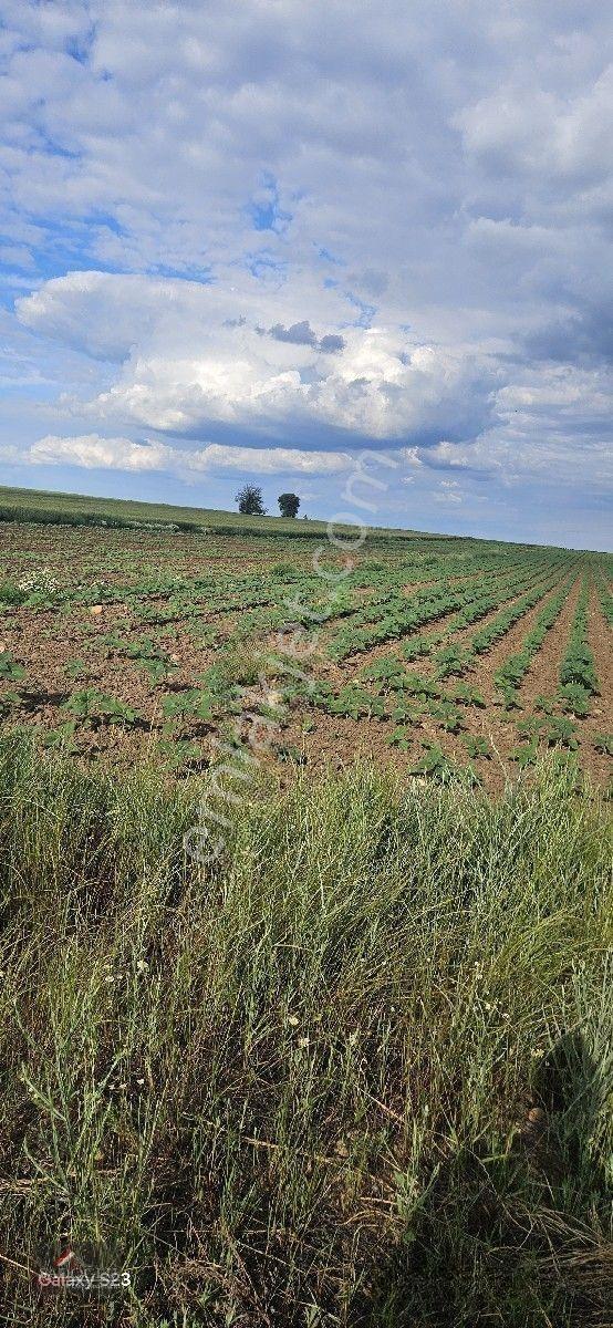 Tatarlar 8.860 M2 Müstakil Tapulu — fotoğraf 33