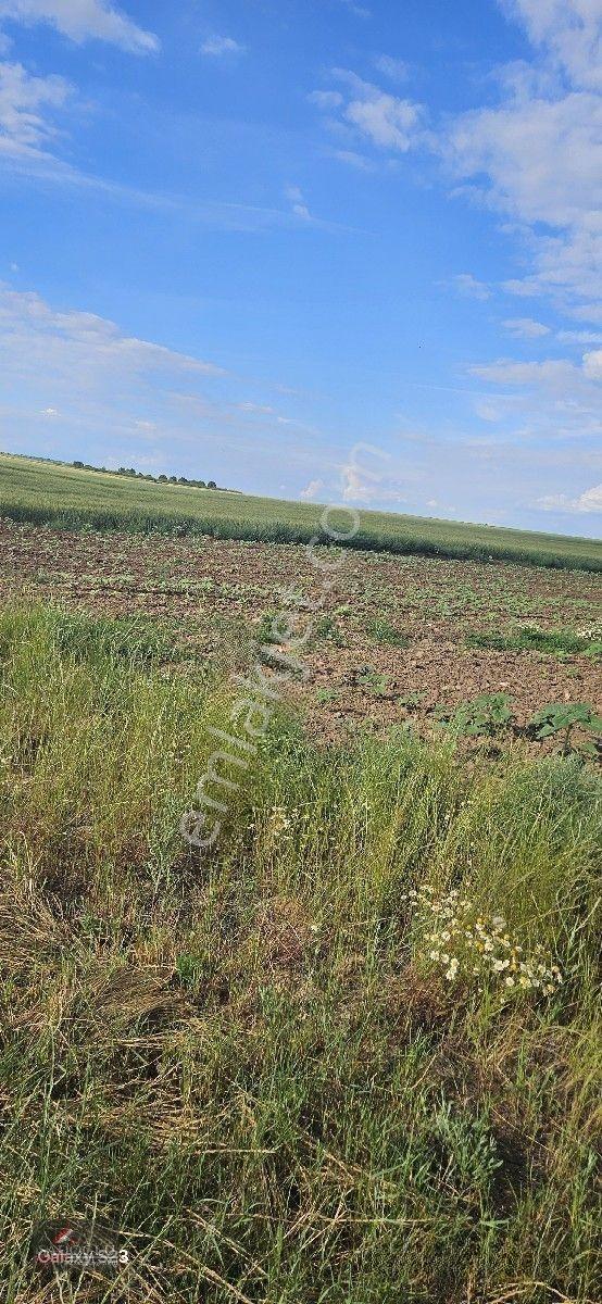 Tatarlar 8.860 M2 Müstakil Tapulu — fotoğraf 34