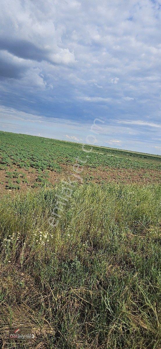Tatarlar 8.860 M2 Müstakil Tapulu — fotoğraf 35