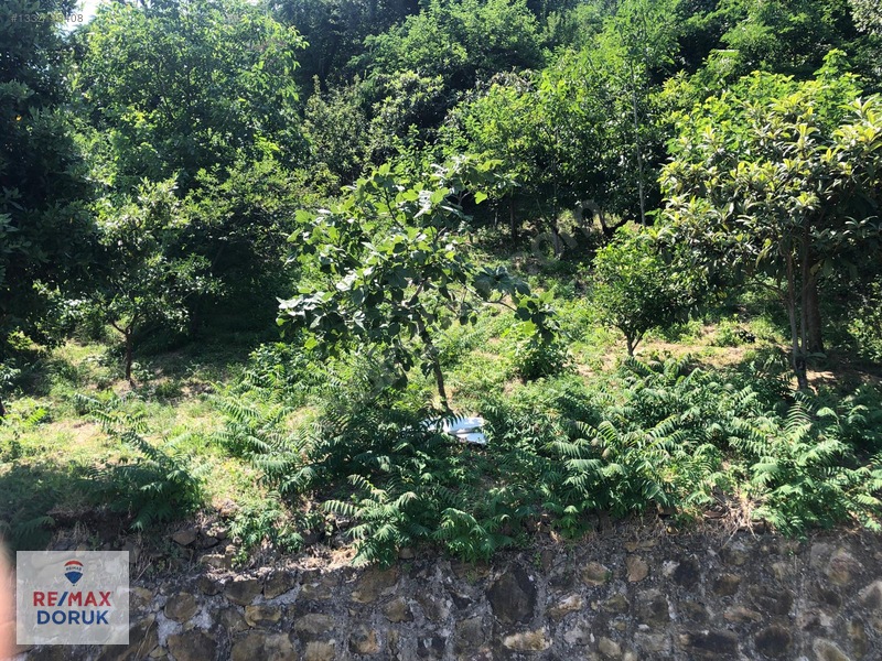 Güzelyalı'da Önü Kapanmayacak Deniz Manzaralı Arsa |konut İmarlı — fotoğraf 4