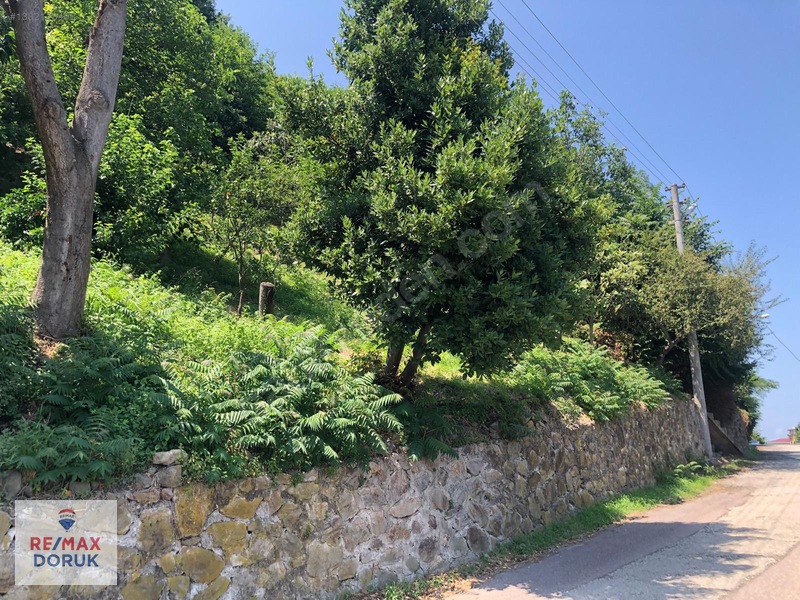 Güzelyalı'da Önü Kapanmayacak Deniz Manzaralı Arsa |konut İmarlı — fotoğraf 5