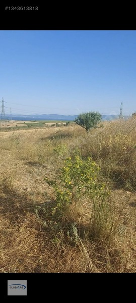 Gelibolu Bolayırda Müstakil Tapulu Deniz Manzaralı Arsa — fotoğraf 4