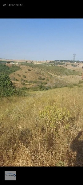 Gelibolu Bolayırda Müstakil Tapulu Deniz Manzaralı Arsa — fotoğraf 5