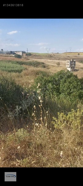 Gelibolu Bolayırda Müstakil Tapulu Deniz Manzaralı Arsa — fotoğraf 6