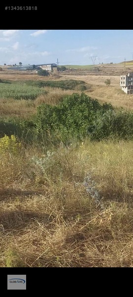 Gelibolu Bolayırda Müstakil Tapulu Deniz Manzaralı Arsa — fotoğraf 7