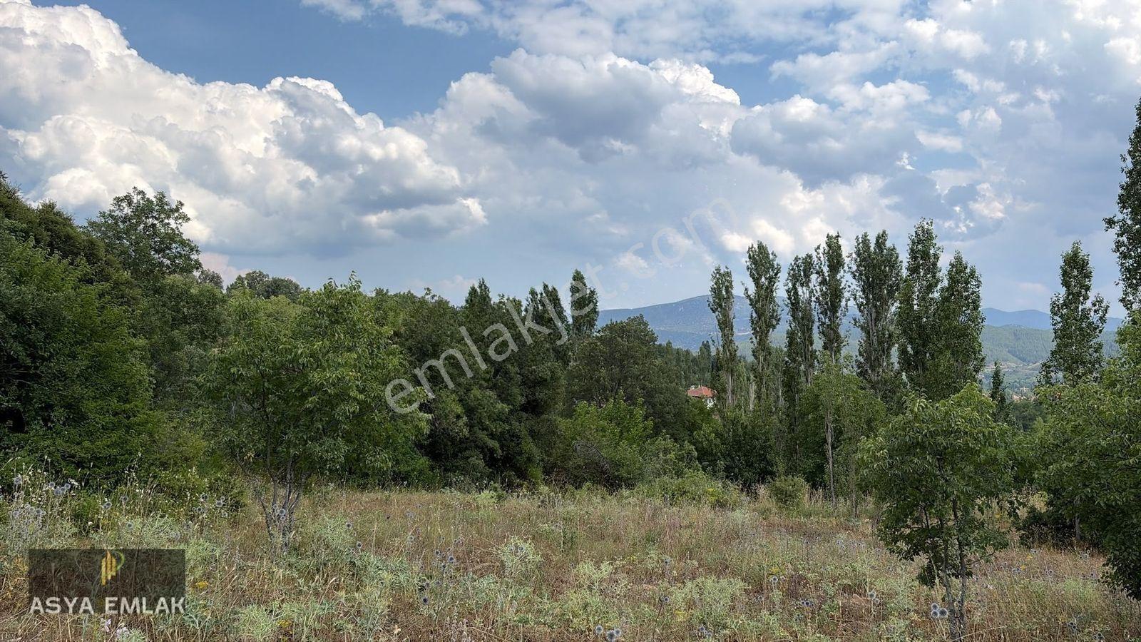 Ağlasun Kıraç Mahallesinde Satılık Fırsat Arazi — fotoğraf 2