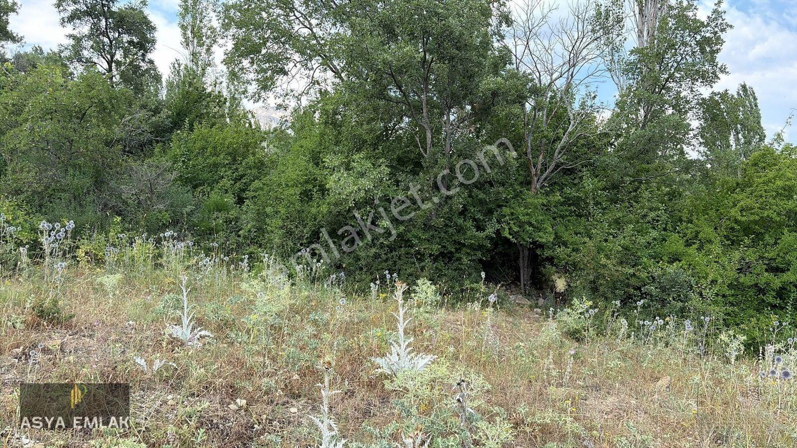Ağlasun Kıraç Mahallesinde Satılık Fırsat Arazi — fotoğraf 3