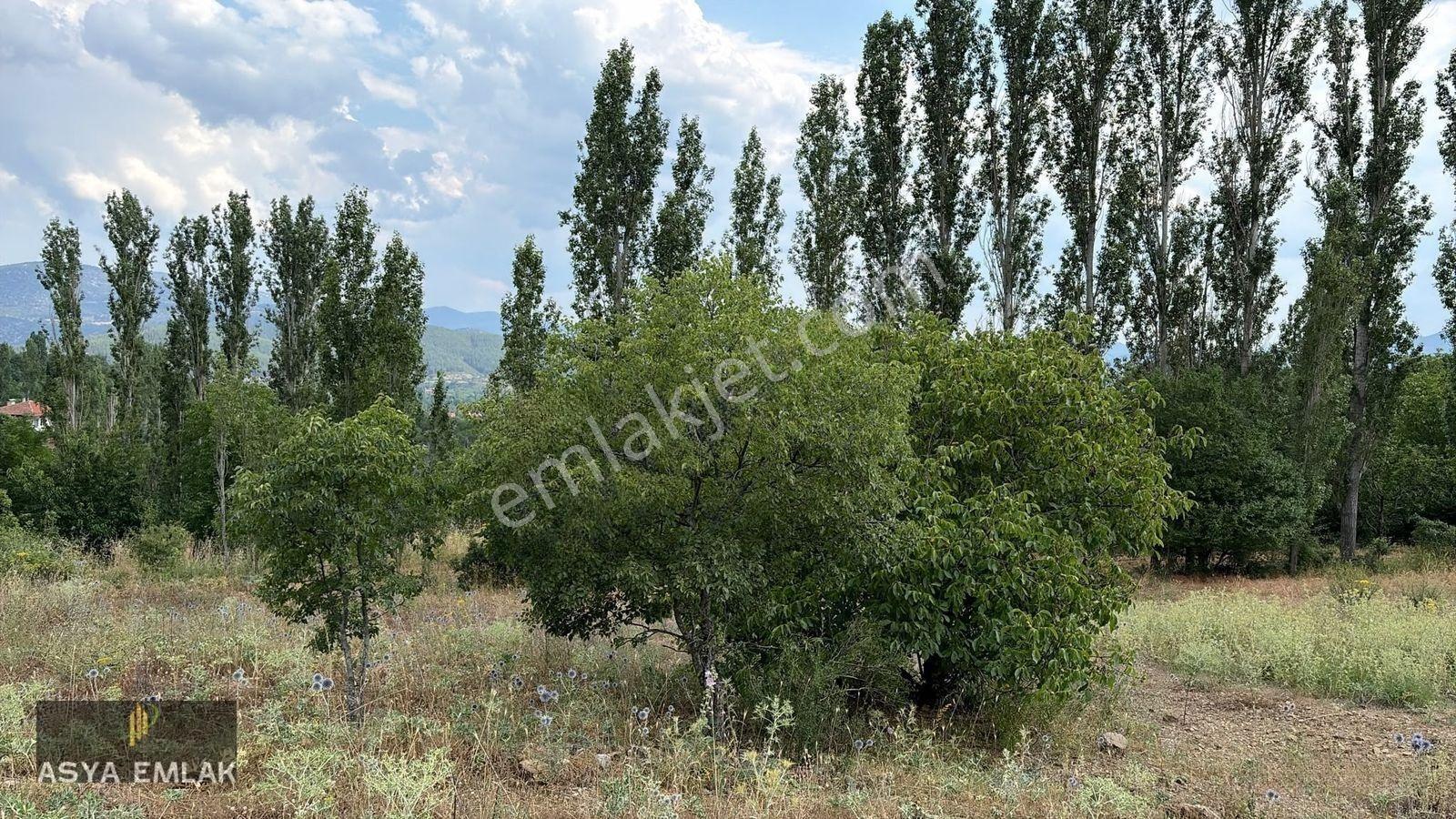 Ağlasun Kıraç Mahallesinde Satılık Fırsat Arazi — fotoğraf 4
