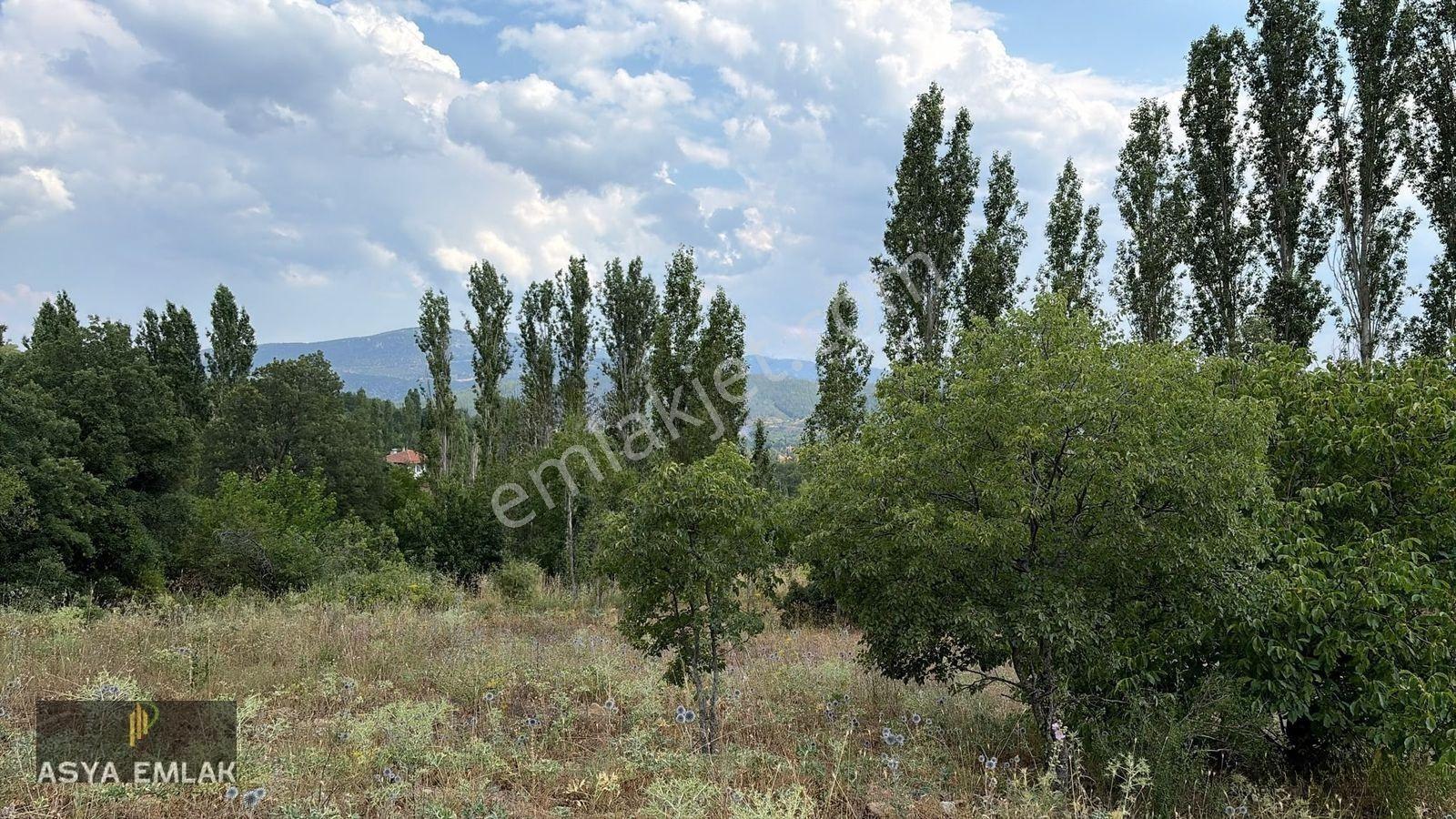 Ağlasun Kıraç Mahallesinde Satılık Fırsat Arazi — fotoğraf 5