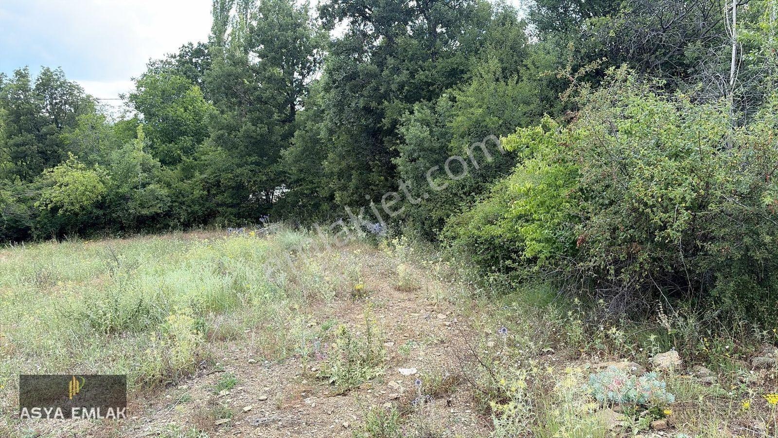 Ağlasun Kıraç Mahallesinde Satılık Fırsat Arazi — fotoğraf 6