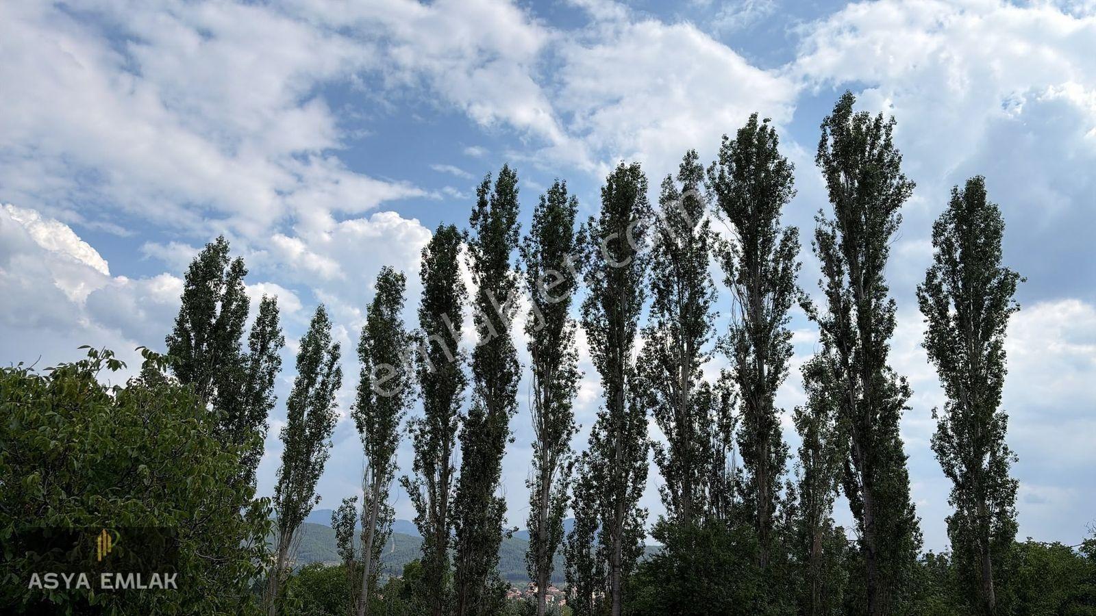 Ağlasun Kıraç Mahallesinde Satılık Fırsat Arazi — fotoğraf 10