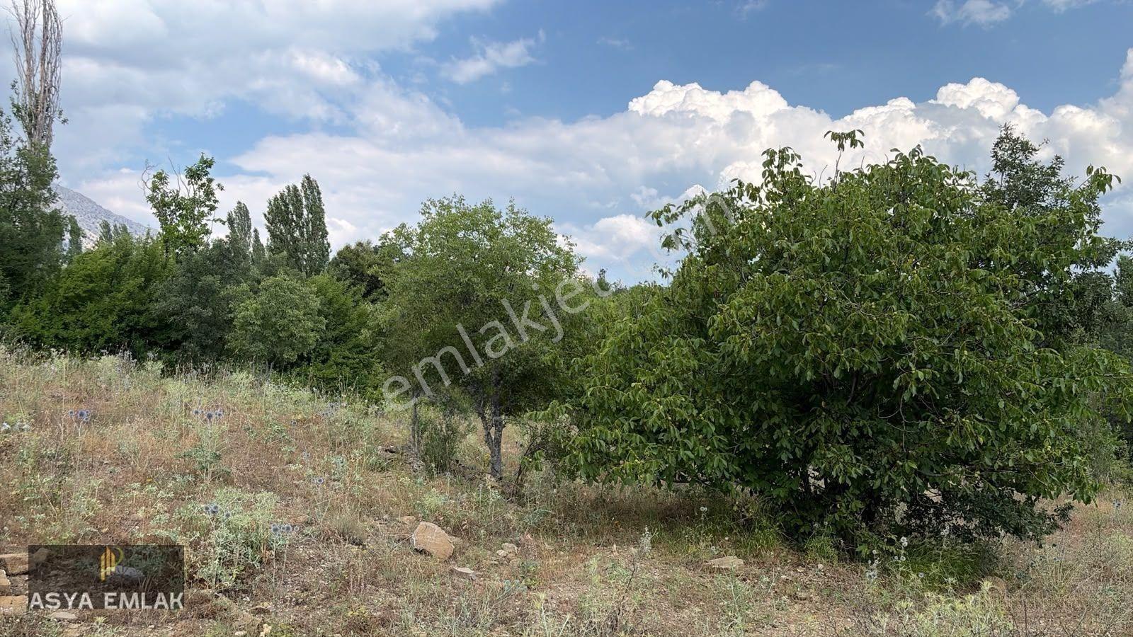 Ağlasun Kıraç Mahallesinde Satılık Fırsat Arazi — fotoğraf 13