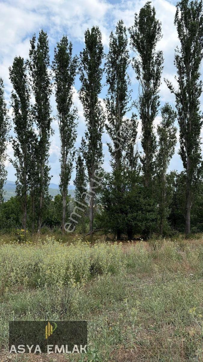 Ağlasun Kıraç Mahallesinde Satılık Fırsat Arazi — fotoğraf 14