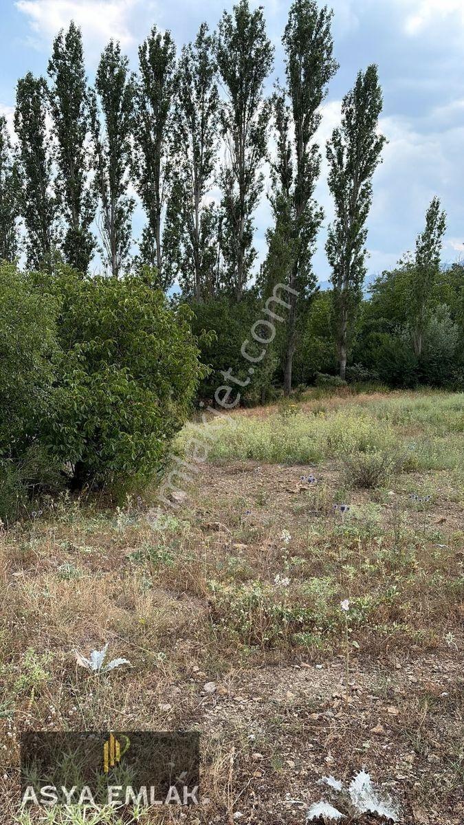 Ağlasun Kıraç Mahallesinde Satılık Fırsat Arazi — fotoğraf 21