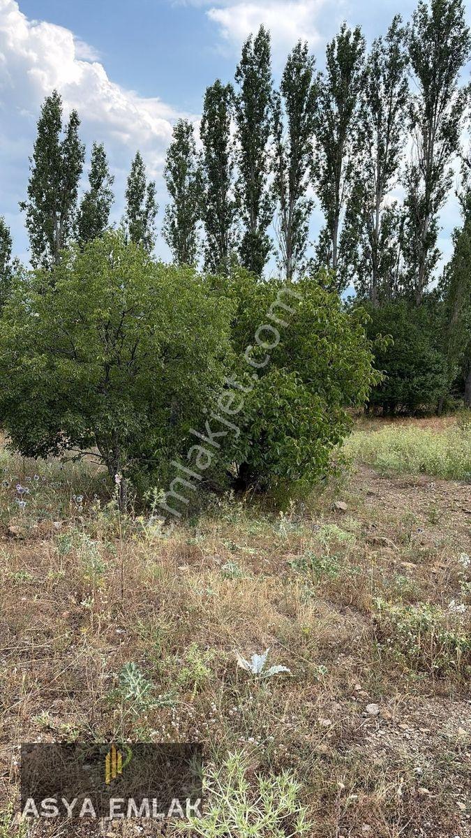 Ağlasun Kıraç Mahallesinde Satılık Fırsat Arazi — fotoğraf 22