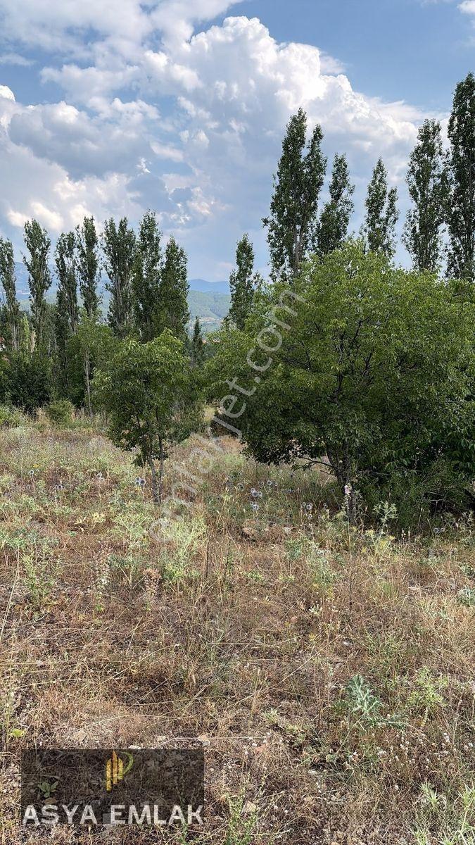 Ağlasun Kıraç Mahallesinde Satılık Fırsat Arazi — fotoğraf 23