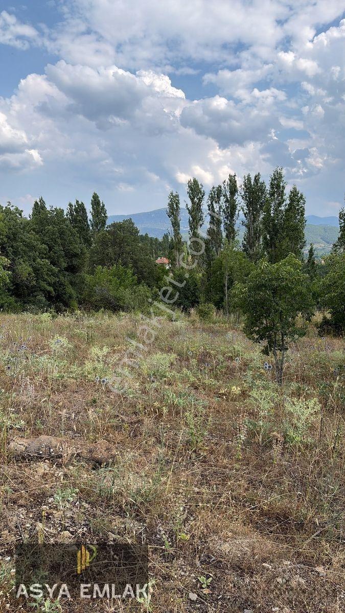 Ağlasun Kıraç Mahallesinde Satılık Fırsat Arazi — fotoğraf 24