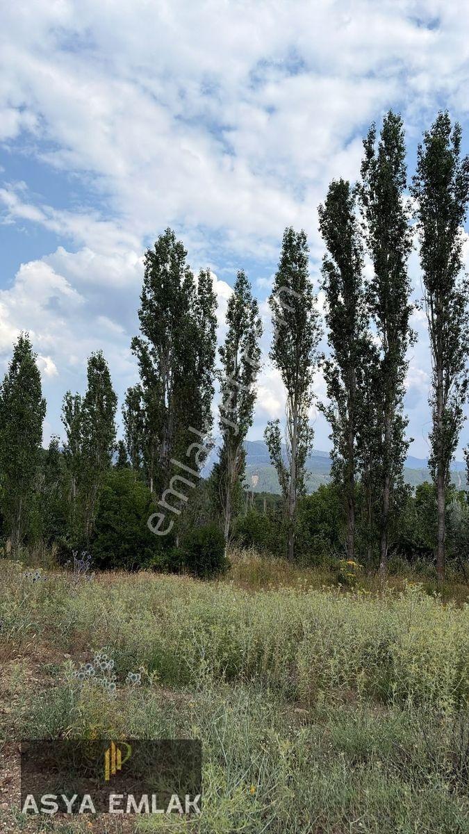 Ağlasun Kıraç Mahallesinde Satılık Fırsat Arazi — fotoğraf 29