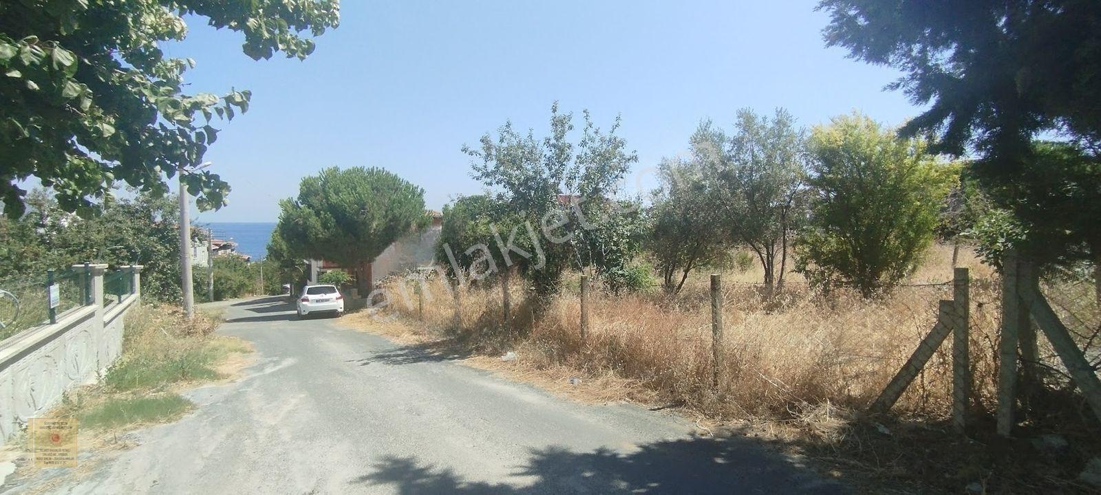Tekirdağ Suleymanpasada Denıze Yakın Satılık Arsa — fotoğraf 4