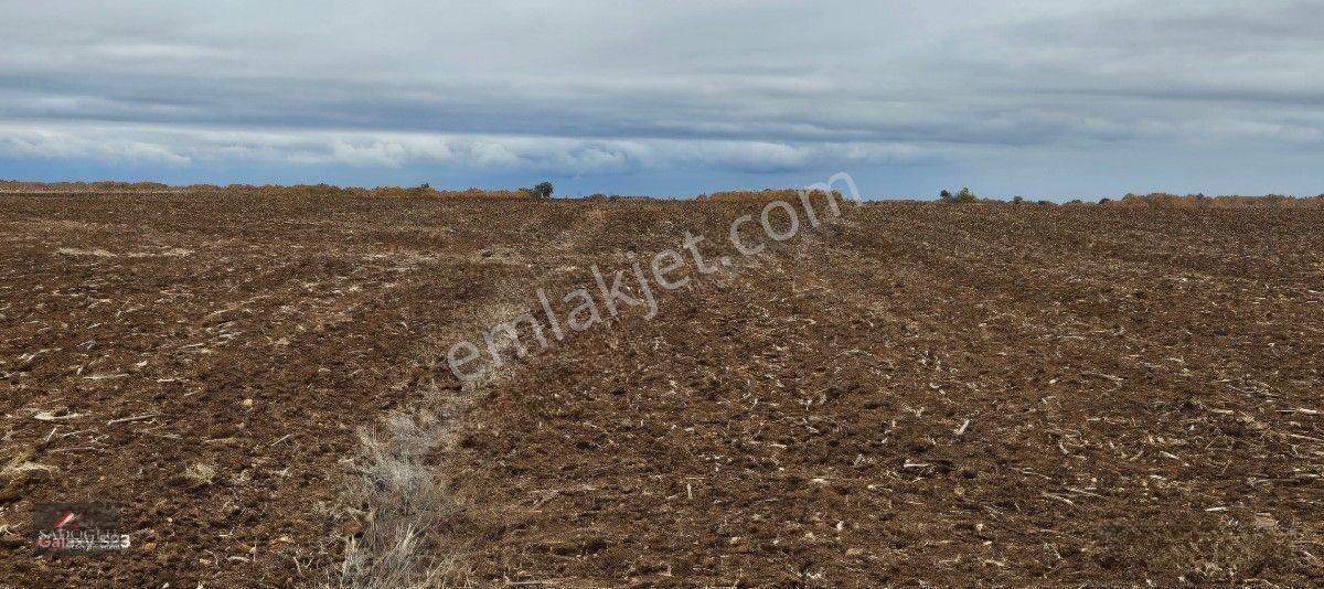Sütlüçe 2.542 M2 Satılık Köye Yakın Mesafede — fotoğraf 2