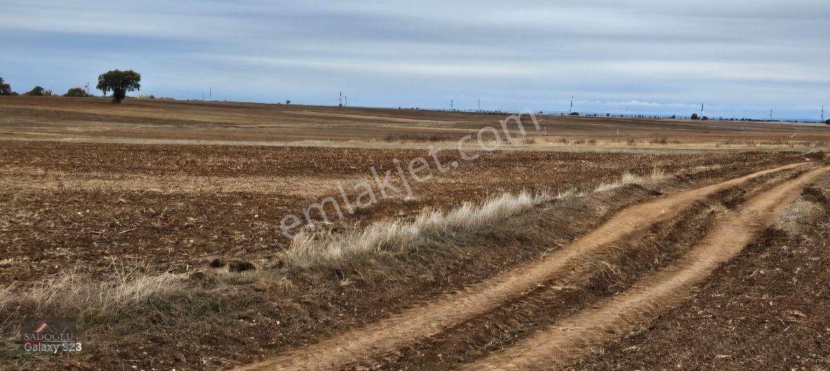 Sütlüçe 2.542 M2 Satılık Köye Yakın Mesafede — fotoğraf 3