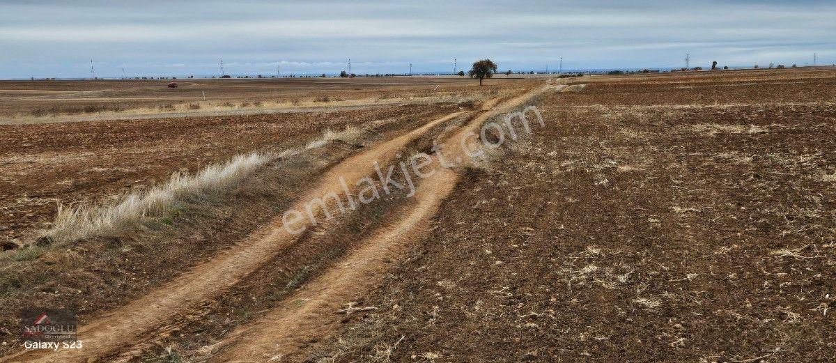Sütlüçe 2.542 M2 Satılık Köye Yakın Mesafede — fotoğraf 5