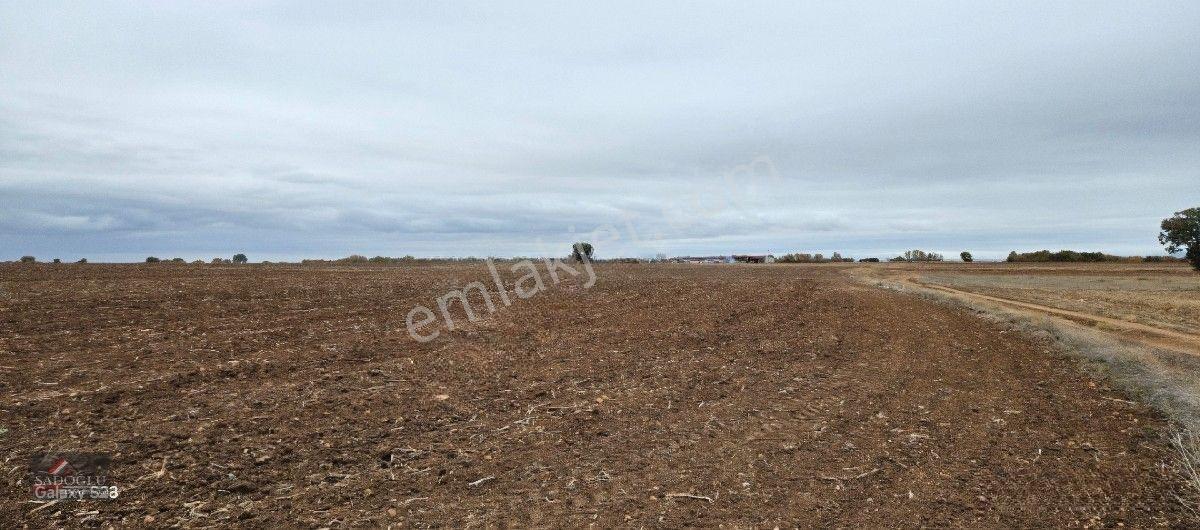 Sütlüçe 2.542 M2 Satılık Köye Yakın Mesafede — fotoğraf 6