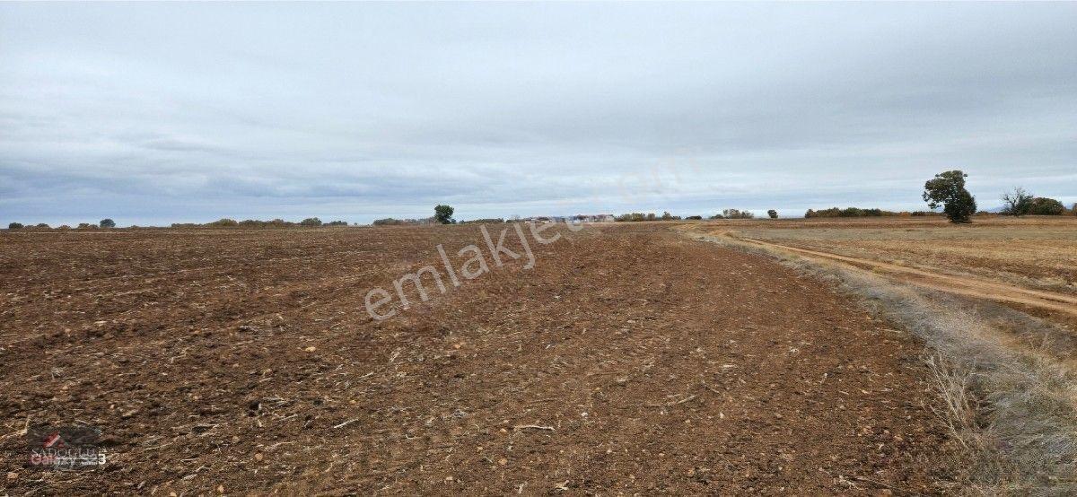 Sütlüçe 2.542 M2 Satılık Köye Yakın Mesafede — fotoğraf 7