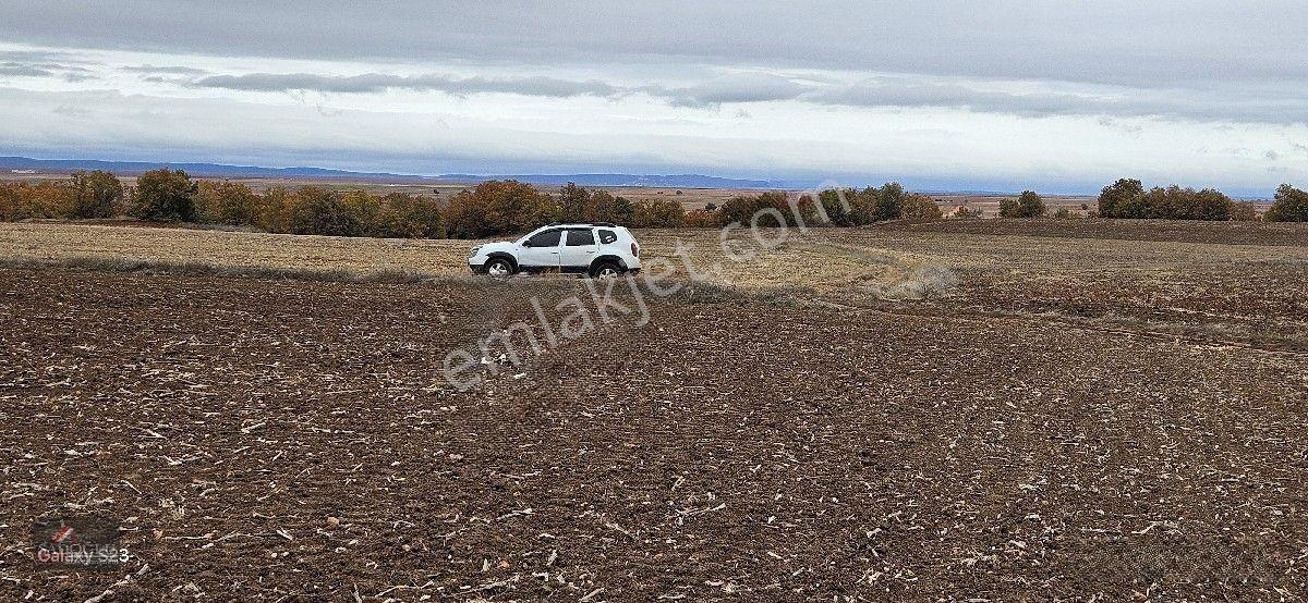 Sütlüçe 2.542 M2 Satılık Köye Yakın Mesafede — fotoğraf 8