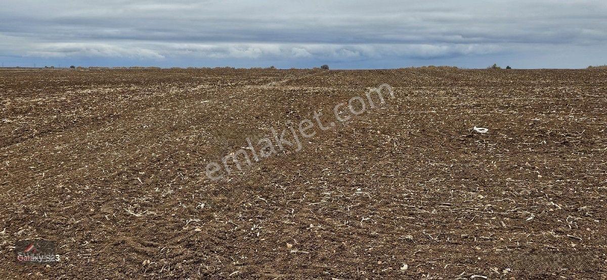 Sütlüçe 2.542 M2 Satılık Köye Yakın Mesafede — fotoğraf 10