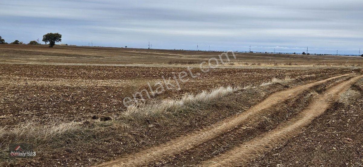 Sütlüçe 2.542 M2 Satılık Köye Yakın Mesafede — fotoğraf 11