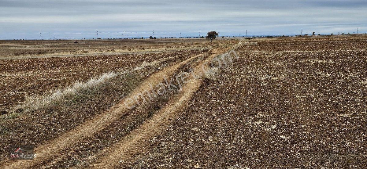 Sütlüçe 2.542 M2 Satılık Köye Yakın Mesafede — fotoğraf 12