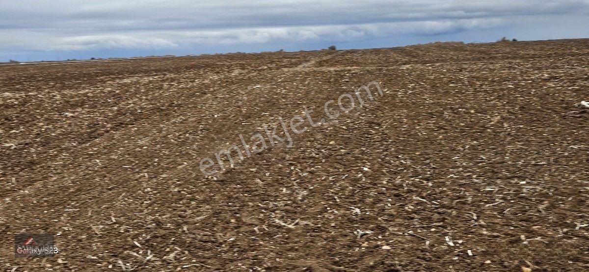 Sütlüçe 2.542 M2 Satılık Köye Yakın Mesafede — fotoğraf 13