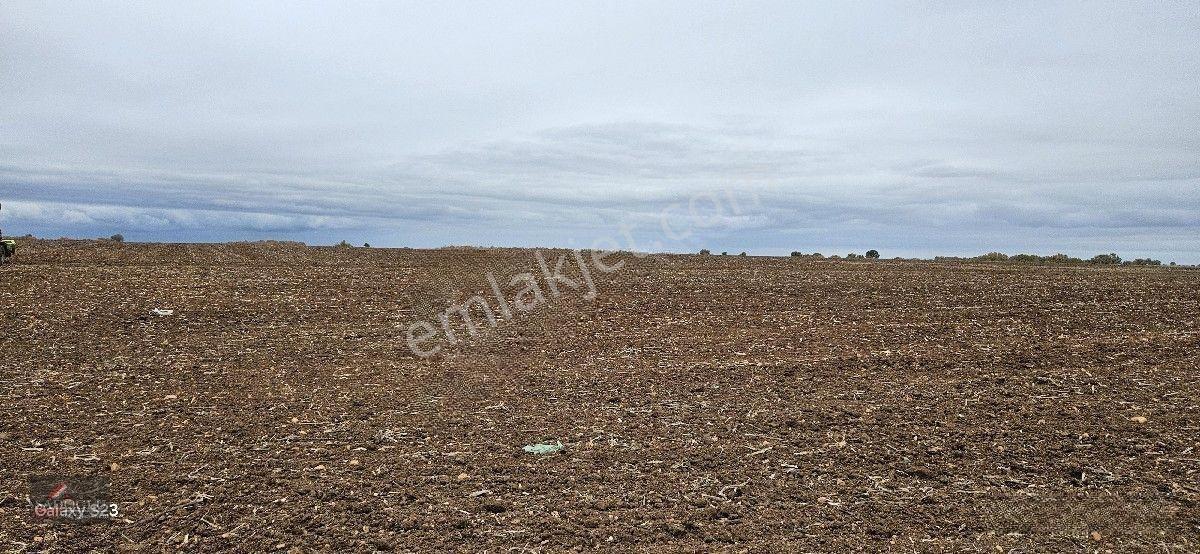 Sütlüçe 2.542 M2 Satılık Köye Yakın Mesafede — fotoğraf 14