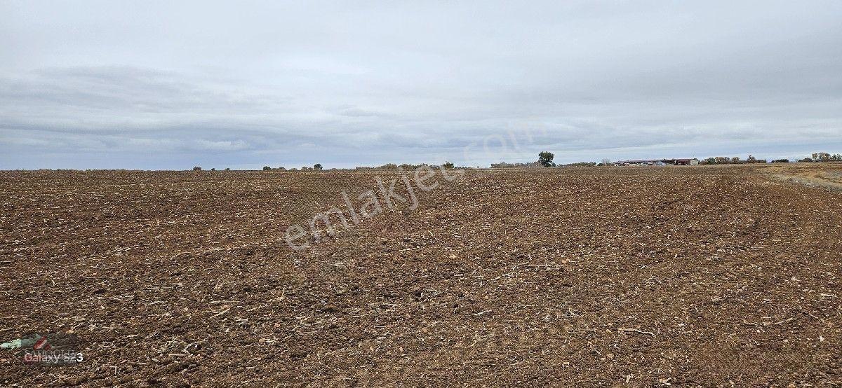 Sütlüçe 2.542 M2 Satılık Köye Yakın Mesafede — fotoğraf 15