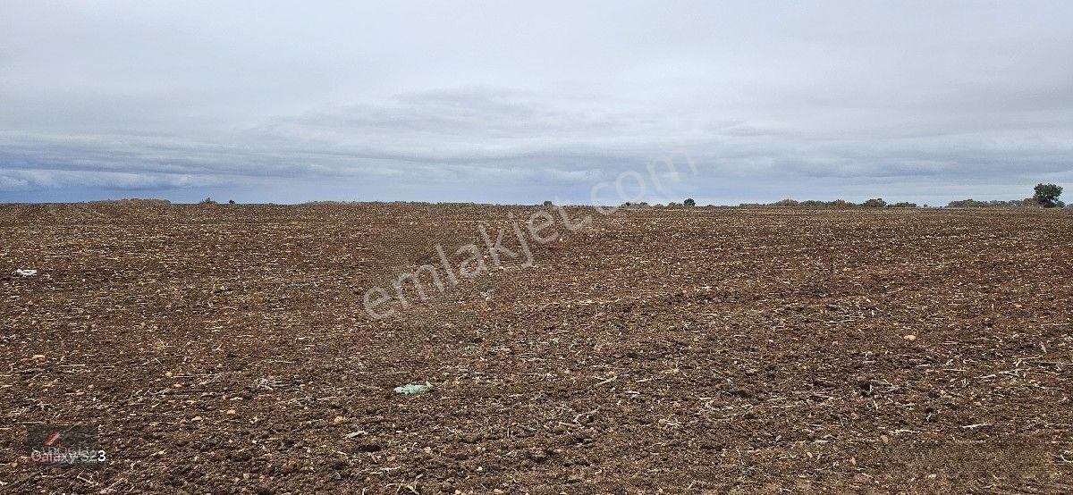 Sütlüçe 2.542 M2 Satılık Köye Yakın Mesafede — fotoğraf 16