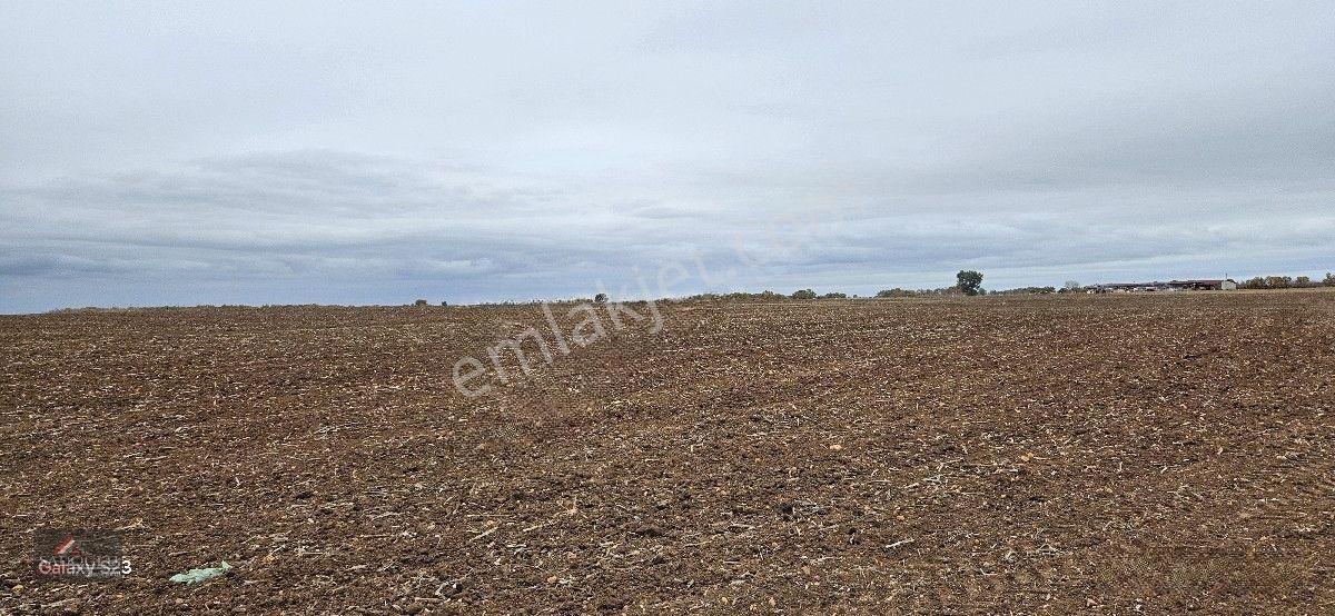 Sütlüçe 2.542 M2 Satılık Köye Yakın Mesafede — fotoğraf 17