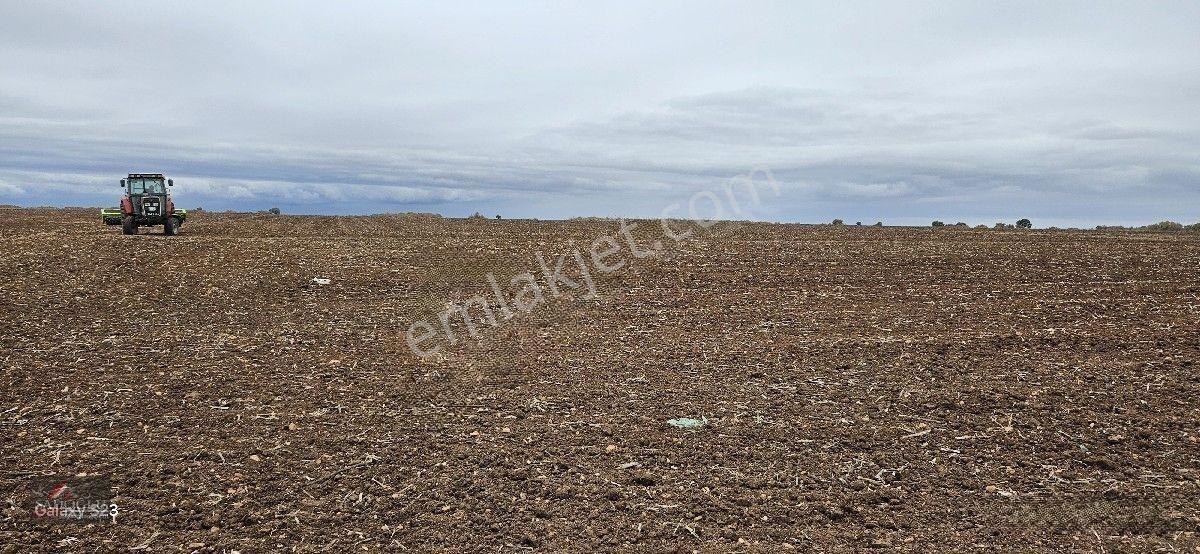 Sütlüçe 2.542 M2 Satılık Köye Yakın Mesafede — fotoğraf 18