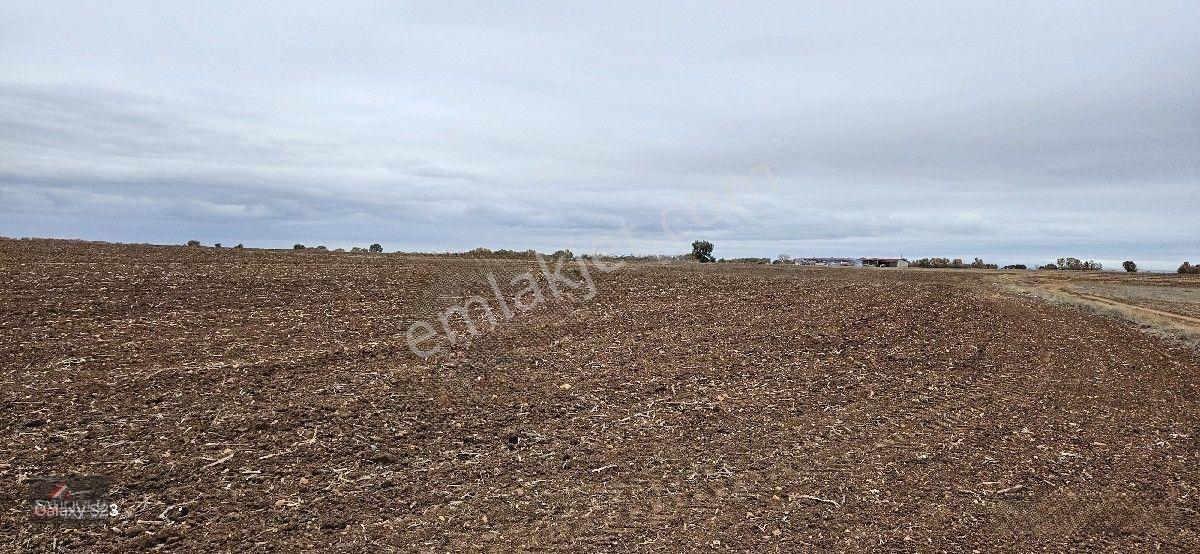 Sütlüçe 2.542 M2 Satılık Köye Yakın Mesafede — fotoğraf 19