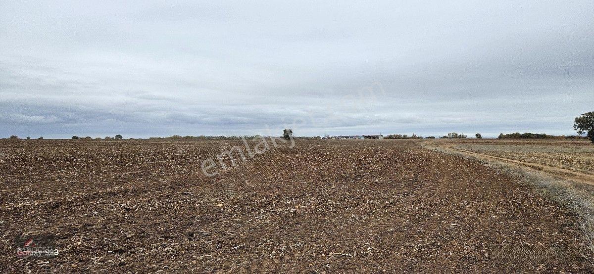 Sütlüçe 2.542 M2 Satılık Köye Yakın Mesafede — fotoğraf 20