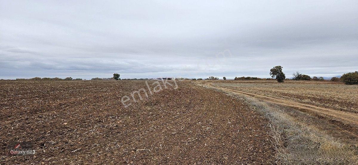 Sütlüçe 2.542 M2 Satılık Köye Yakın Mesafede — fotoğraf 21