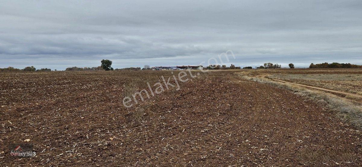Sütlüçe 2.542 M2 Satılık Köye Yakın Mesafede — fotoğraf 22