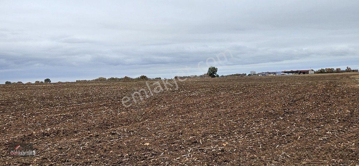 Sütlüçe 2.542 M2 Satılık Köye Yakın Mesafede — fotoğraf 23