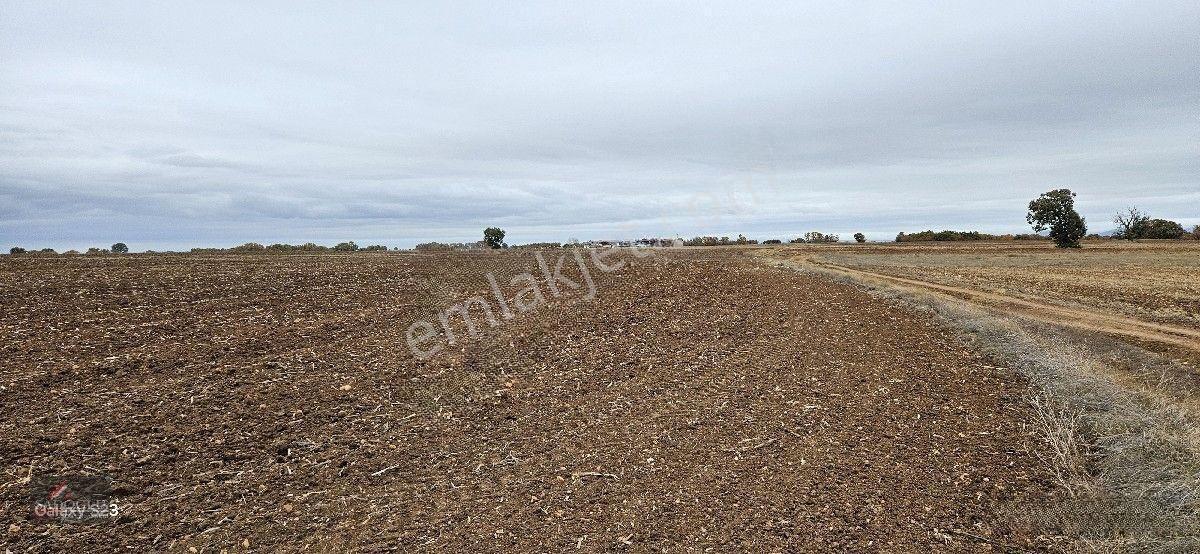Sütlüçe 2.542 M2 Satılık Köye Yakın Mesafede — fotoğraf 24