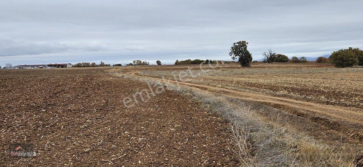 Sütlüçe 2.542 M2 Satılık Köye Yakın Mesafede — fotoğraf 25