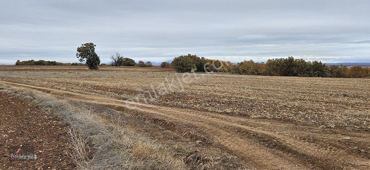 Sütlüçe 2.542 M2 Satılık Köye Yakın Mesafede — fotoğraf 26