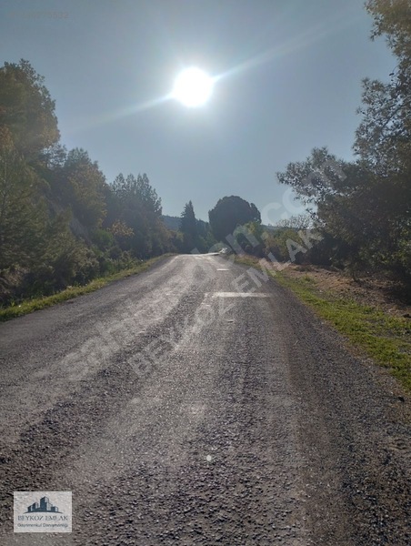 Manisa Yunusemre Beydere Mah. Yerleşim Yanı Satılık Üzüm Bağı — fotoğraf 2