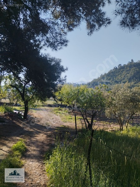 Manisa Yunusemre Beydere Mah. Yerleşim Yanı Satılık Üzüm Bağı — fotoğraf 13